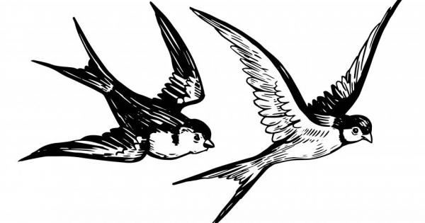 Заромоля дребен есенен дъждец Жълтият листак в градината светна Големите