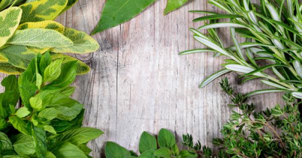 Потърсете Ин и Ян – те са навсякъде в живота