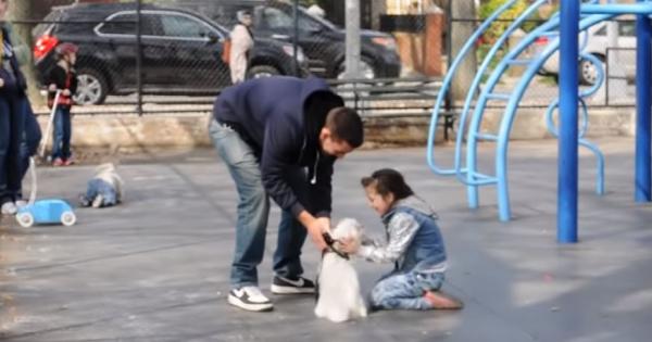 Известният като майстор на номерата в YouTube Джоуи Саладс успя