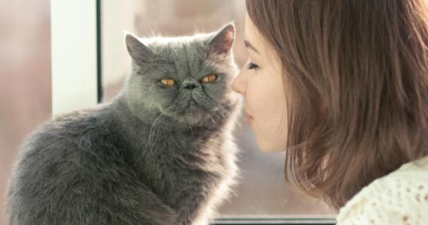 Котките са не само невероятно сладки и фотогенични Съжителството с