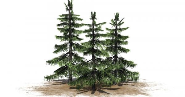 Една древна легенда разказва как някога в прекрасните гори на