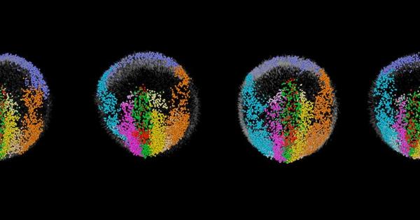 Благодарение на нова микроскопична технология учени успяха да създадат детайлна