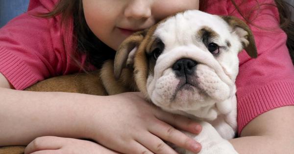 Ефект от присъствието на куче има такъв терапевтичен термин