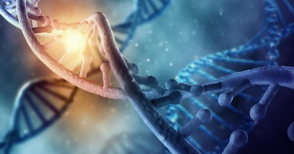 Учени разшириха изграждащите блокове на ДНК за да създадат стабилен