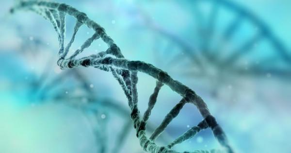 Колкото по генетично разнородни са родителите ви толкова по вероятно е да