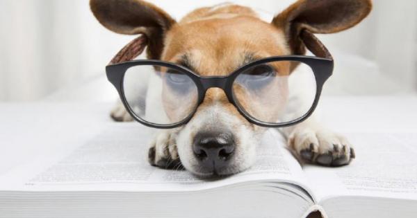 Лорд Дамървил решил да отиде на почивка Тъй като винаги