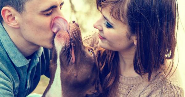 Откакто има домашни животни хората спорят кой е по умен –