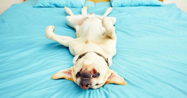 Няма вълшебна поза за сън но има няколко неща които