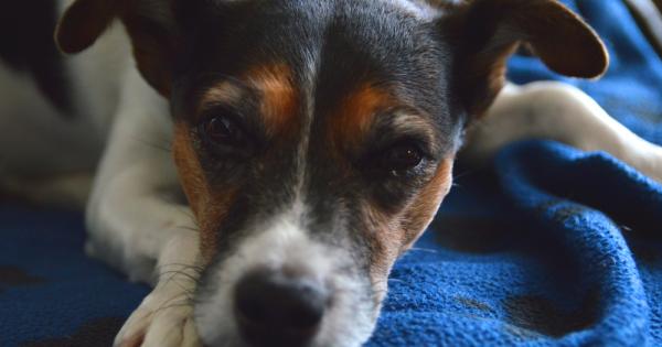 Болката колкото и да е неприятна всъщност е нещо полезно