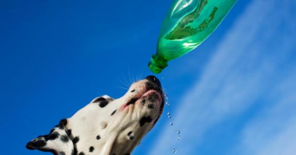 Лятото неусетно дойде а с него и температурите в които