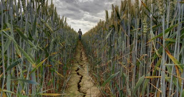 Сушата бързо обхваща земеделските земи по цял свят – и