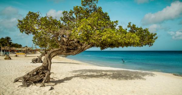 Зимата е в разгара си и нищо не можем да