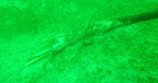 В продължение на повече от шест десетилетия морската обсерватория Бокнис