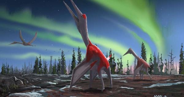 С размах на крилете равняващ се на два жирафа или