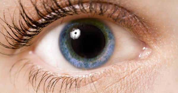 Хората с по големи зеници имат по висока интелигентност а разликата се