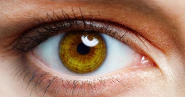 Лучия Питалис е художничка майстор в изкуството на грима и