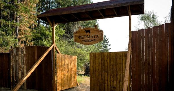 21 участници сред които известни личности чужденци и емигранти влизат