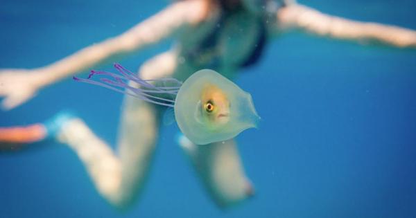 Понякога животът може да ви накара да се чувствате в