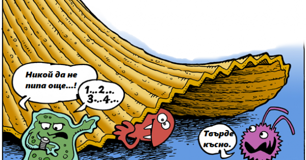 Замислих се колко ли бактерии ще изям заедно с парчето