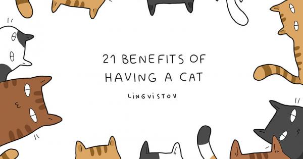 Имате ли котка Обмисляте ли да си вземете една вкъщи