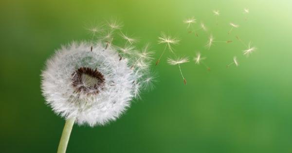 Смъртта е единственото сигурно нещо в живота си Въпреки това