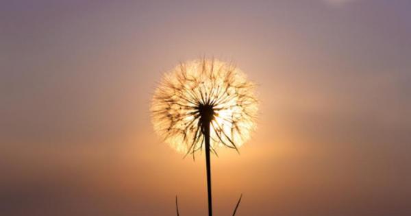 От историческа гледна точка Близкият Изток е бил люлката на