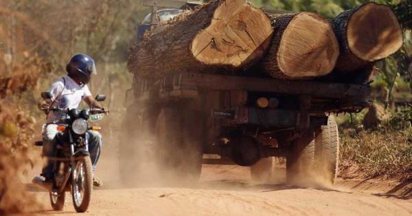 Обезлесяването на тропическите гори на Амазонка наричани белите дробове на