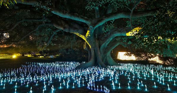 Всяка година Сидни се облива в невероятно красиви светлини Най големият