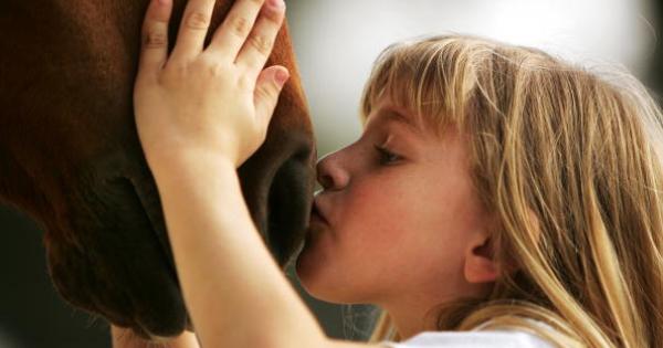 Движенията на коня винаги са олицетворявали свободата За славяните той