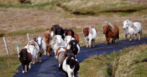 Ако ви е писнало от всичко най вече от хората и