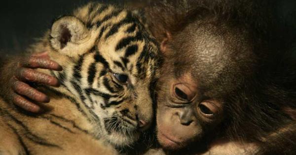 Психичното здраве на всеки човек е свързано с удовлетворяването на