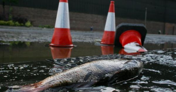 В края на пролетта между май и юни тъмни облаци