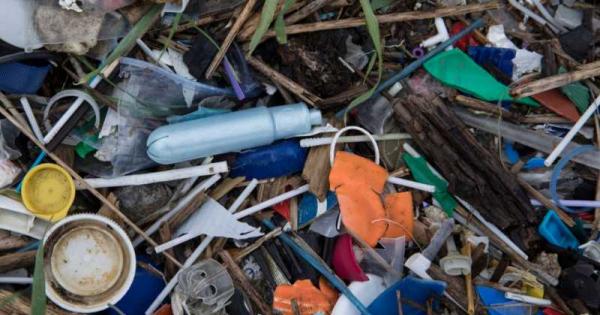 Намериха над 1000 парчета пластмаса т е близо 6 кг отпадъци  в