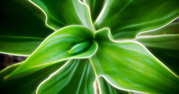 Когато чуем за анестетик веднага се сещаме само за облечкаване