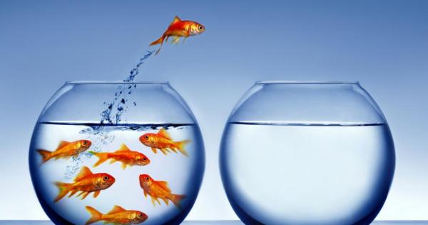 Мнозина смятат интровертите за срамежливци но това не е така