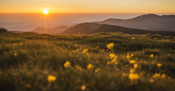 Павел Павлов от Пловдив е още ученик но много професионални