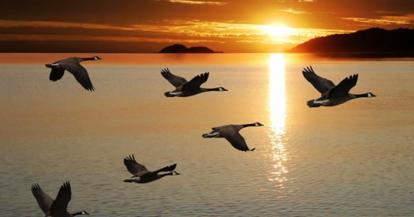 Учени от института Макс Планк забелязаха редица молекулярни механизми които