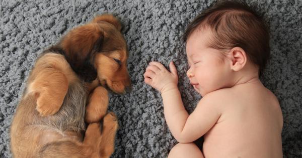 Има ли нещо по сладко от спящи дечица Разбира се