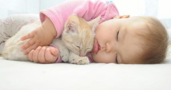 Кучетата могат да бъдат страхотно допълнение към вашето семейство Не отписвайте