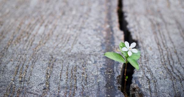 Много хора се боят че пътеката която са си избрали