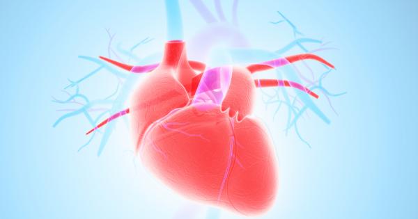 Сърцето е един от най важните органи в тялото ни тъй