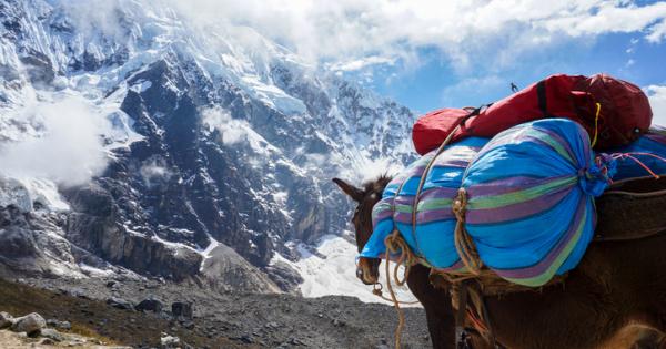 Веднъж баща и син тръгнали от селото си на магаре По