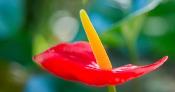 През 1989 NASA стартира проучване Чист въздух за да определи