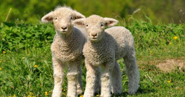 За човека чието съзнание е свободно има нещо дори по нетърпимо