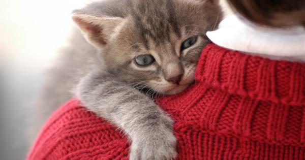 Капризните мъркащи създания може да не показват чувствата си но