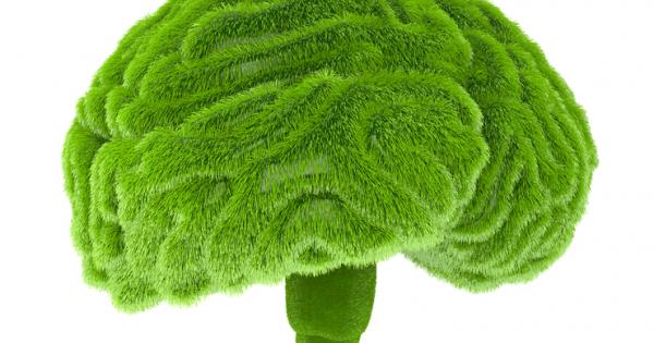 Кратка история на медицината 2001 г пр н е – Ето вземи