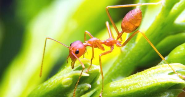 Изненадващо но американският пентагон провежда задълбочено изследване по проблема дали