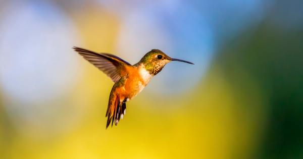 По принцип хъркането не е хубаво нещо То може да