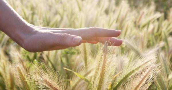 Око да види ръка да пипне казал Тома Неверни и