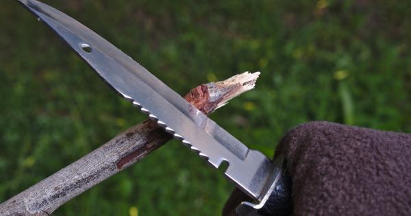 Мит 6 Ако животните ядат нещо значи и вие можете